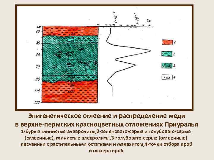  Эпигенетическое оглеение и распределение меди в верхне-пермских красноцветных отложениях Приуралья 1 -бурые глинистые