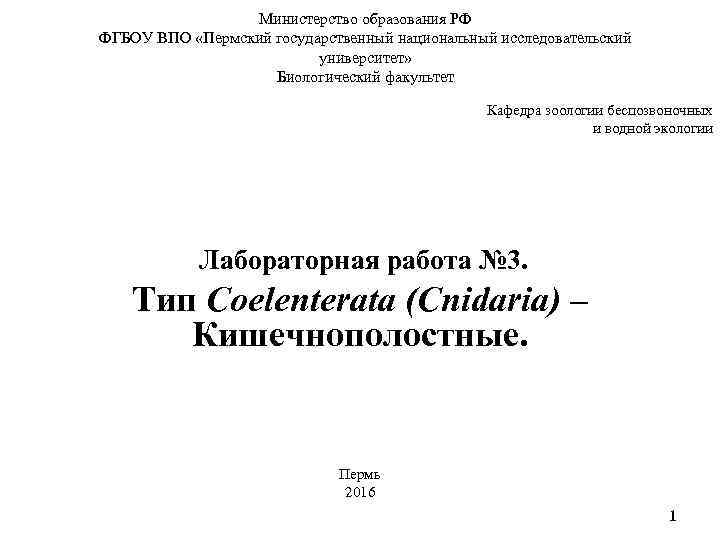  Министерство образования РФ ФГБОУ ВПО «Пермский государственный национальный исследовательский университет» Биологический факультет Кафедра