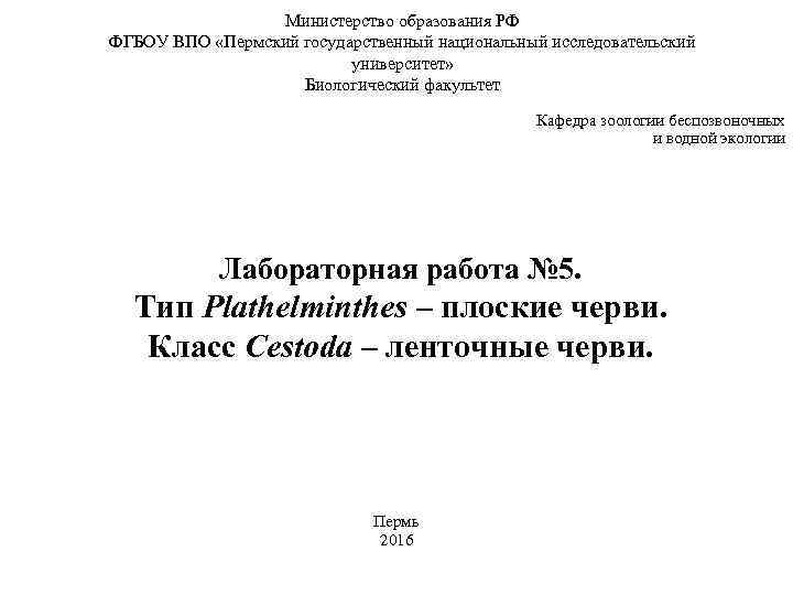    Министерство образования РФ ФГБОУ ВПО «Пермский государственный национальный исследовательский  