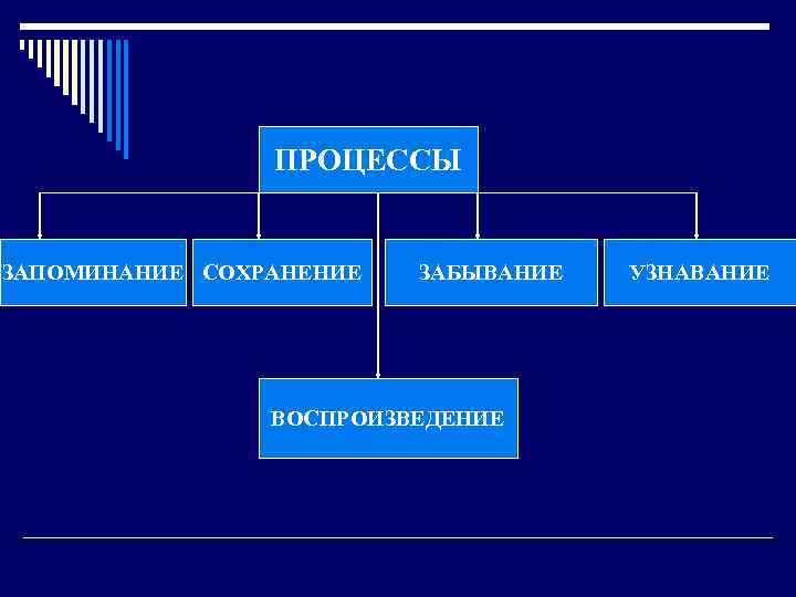  ПРОЦЕССЫ ЗАПОМИНАНИЕ СОХРАНЕНИЕ ЗАБЫВАНИЕ УЗНАВАНИЕ ВОСПРОИЗВЕДЕНИЕ 