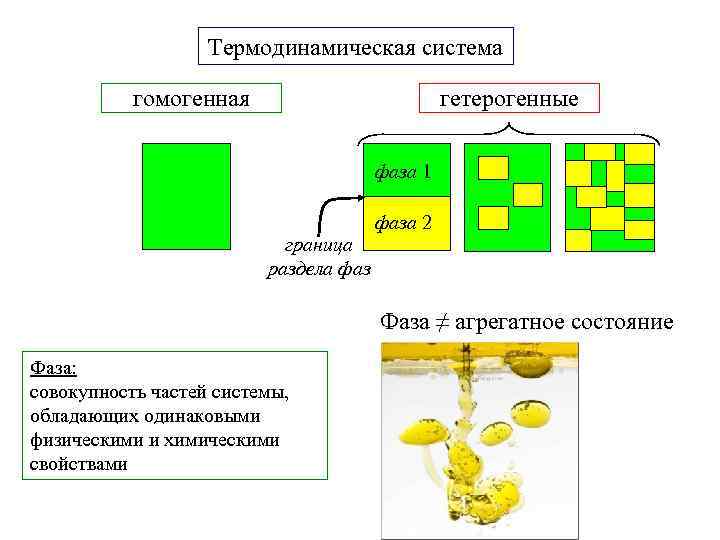     Термодинамическая система   гомогенная     