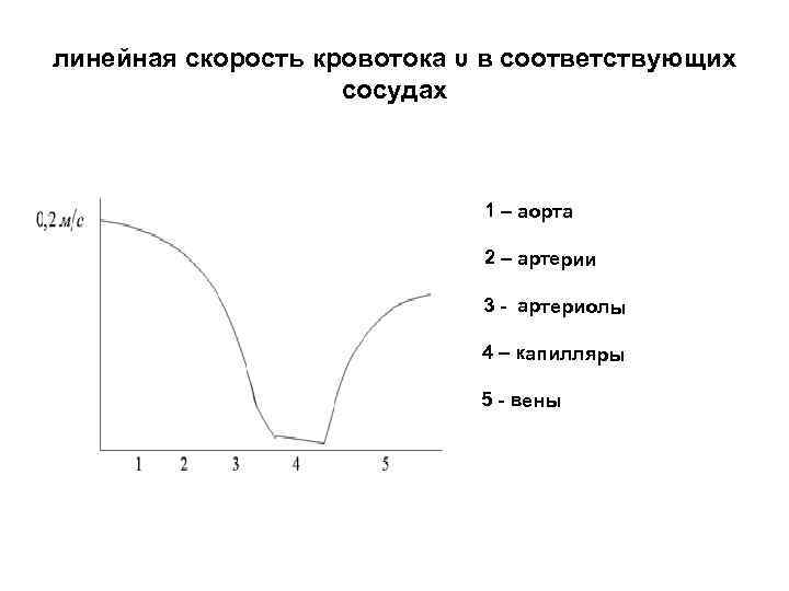 линейная скорость кровотока υ в соответствующих сосудах линейная скорость кровотока υ в соответствующих сосудах