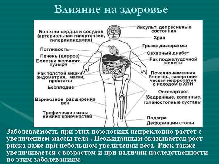  Влияние на здоровье Заболеваемость при этих нозологиях непреклонно растет с увеличением массы тела.