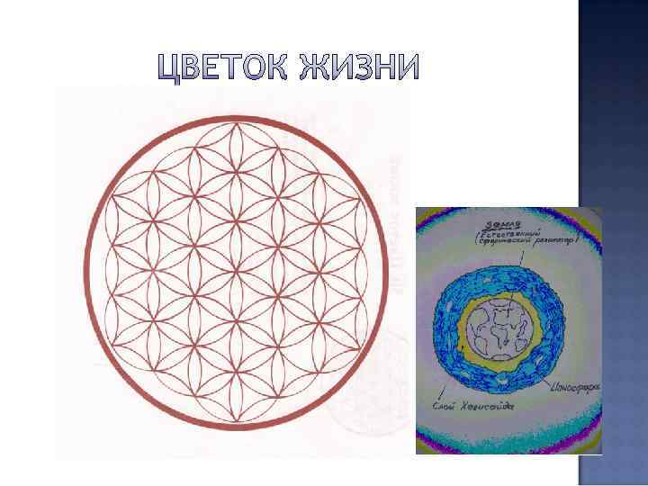 Трактат «Метафизика» . Мир – это целостное, естественно возникшее образование. Мир имеет Трактат «Метафизика» . Мир – это целостное, естественно возникшее образование. Мир имеет