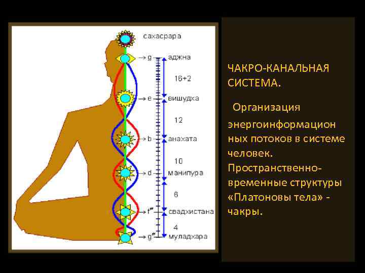 ЧАКРО-КАНАЛЬНАЯ СИСТЕМА. Организация энергоинформацион ных потоков в системе человек. Пространственно- временные структуры «Платоновы тела»