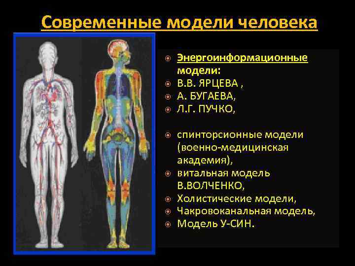 Современные модели человека Энергоинформационные модели: В. В. ЯРЦЕВА , А. БУГАЕВА, Л. Г. ПУЧКО,