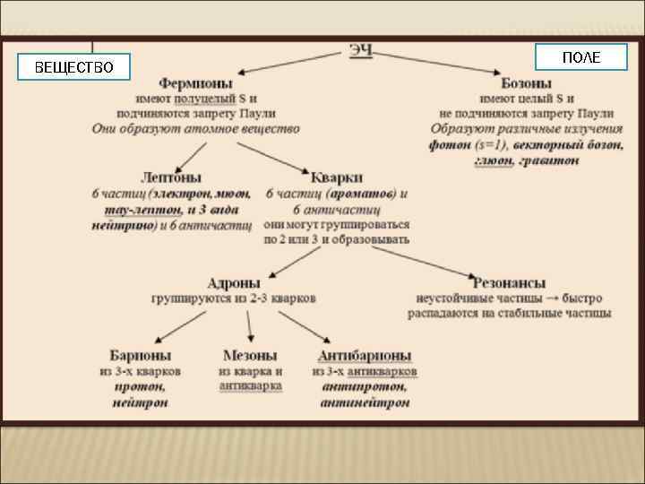  ПОЛЕ ВЕЩЕСТВО 