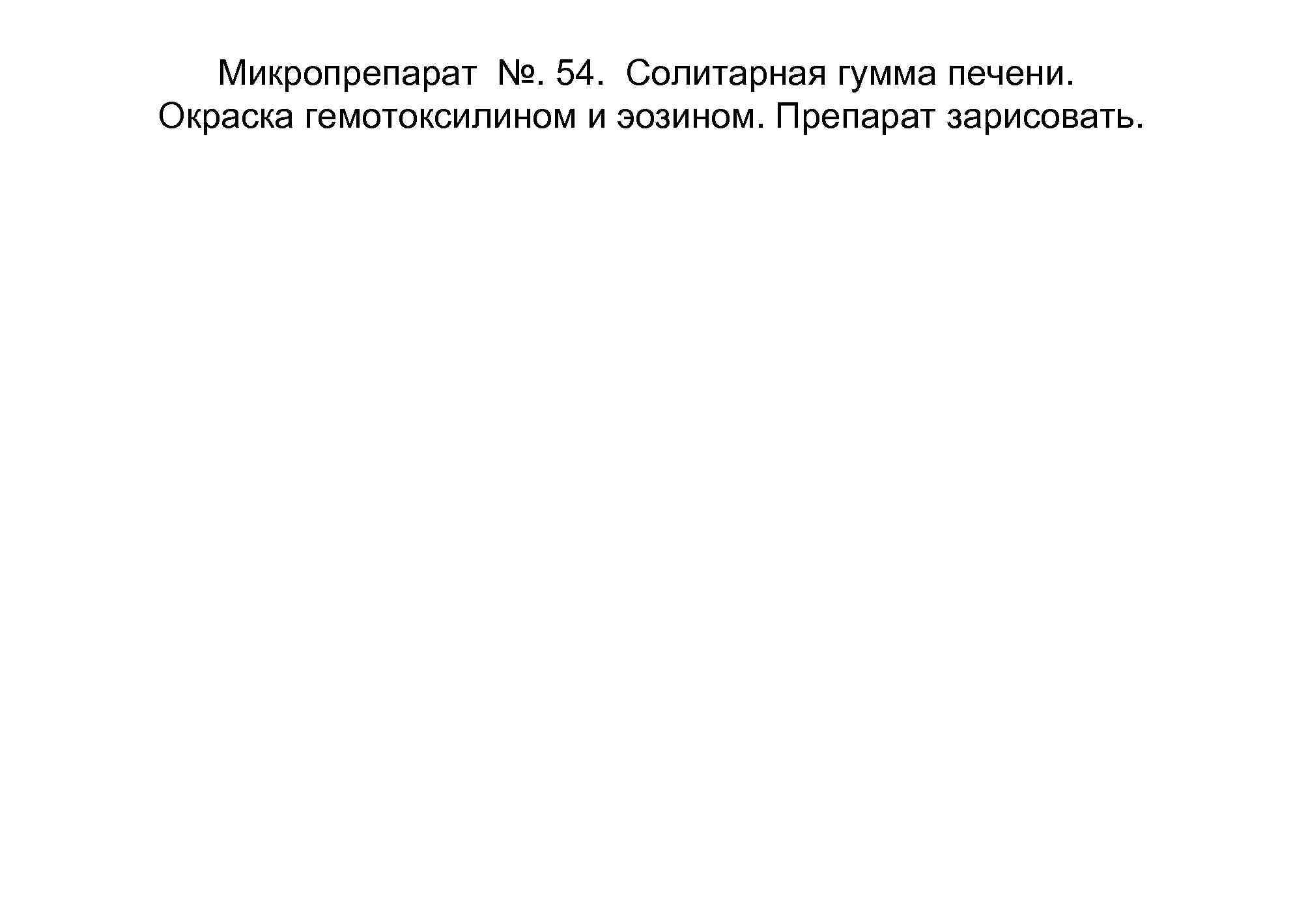   Микропрепарат №. 54. Солитарная гумма печени. Окраска гемотоксилином и эозином. Препарат зарисовать.
