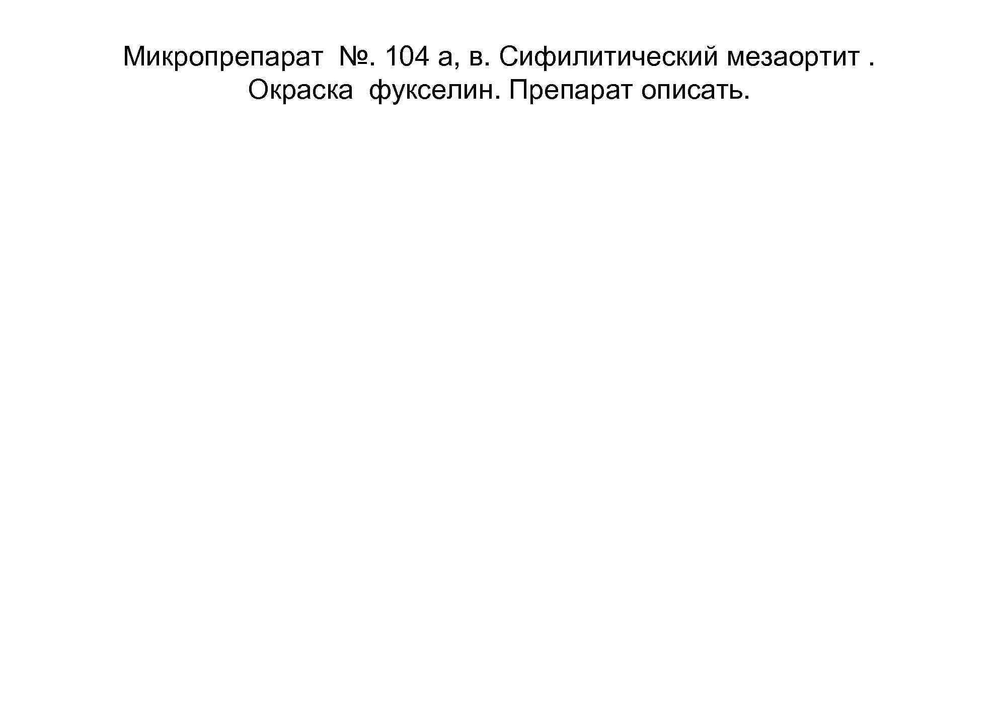 Микропрепарат №. 104 а, в. Сифилитический мезаортит.   Окраска фукселин. Препарат описать. 