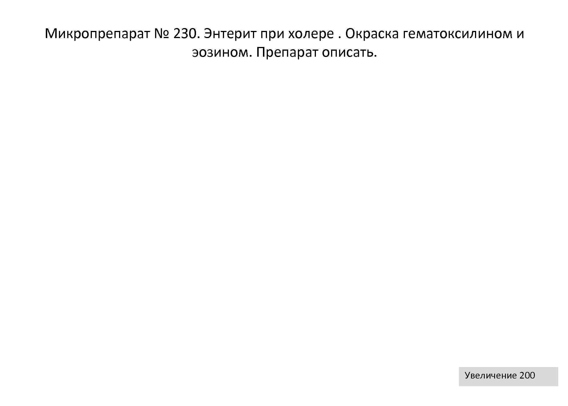 Микропрепарат № 230. Энтерит при холере. Окраска гематоксилином и    эозином. Препарат
