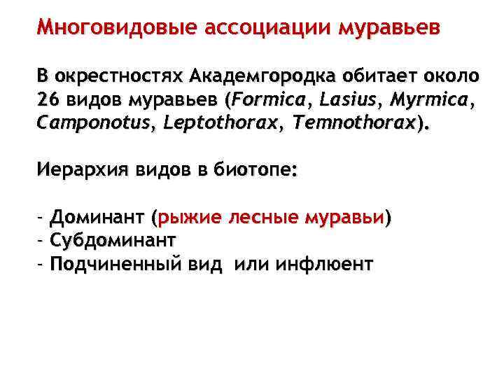 Многовидовые ассоциации муравьев В окрестностях Академгородка обитает около 26 видов муравьев (Formica, Lasius, Myrmica,