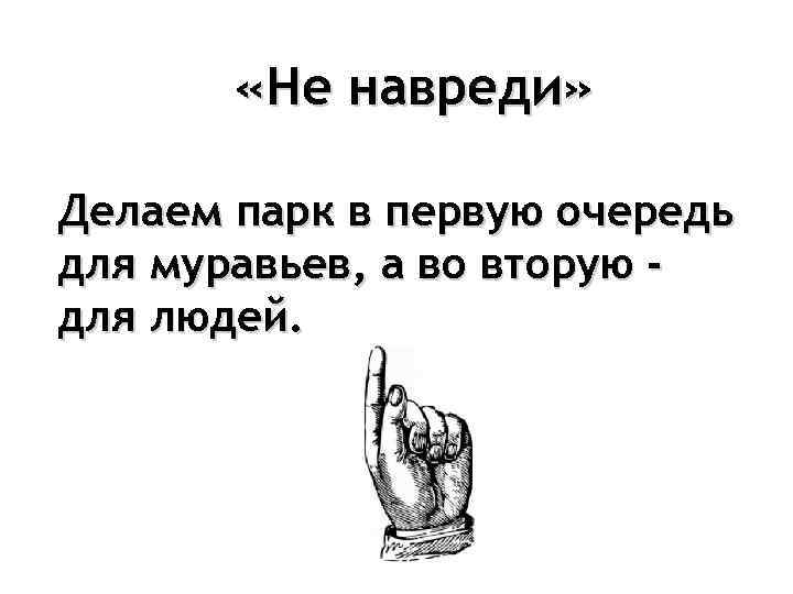  «Не навреди» Делаем парк в первую очередь для муравьев, а во вторую -