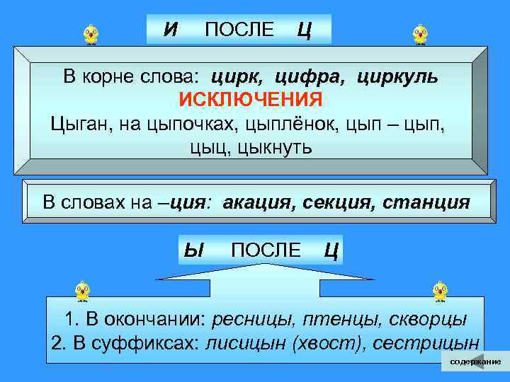  И ПОСЛЕ Ц В корне слова: цирк, цифра, циркуль ИСКЛЮЧЕНИЯ Цыган, на цыпочках,