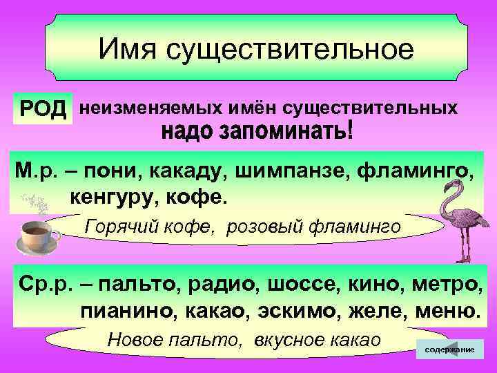  Имя существительное РОД неизменяемых имён существительных М. р. – пони, какаду, шимпанзе, фламинго,