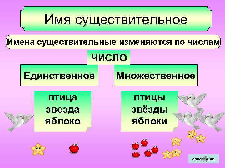  Имя существительное Имена существительные изменяются по числам ЧИСЛО Единственное Множественное птица птицы звезда