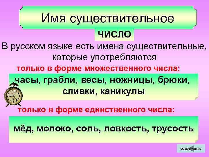  Имя существительное ЧИСЛО В русском языке есть имена существительные, которые употребляются только в