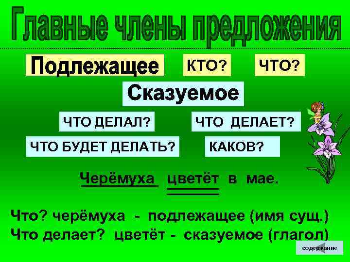  КТО? ЧТО? ЧТО ДЕЛАЛ? ЧТО ДЕЛАЕТ? ЧТО БУДЕТ ДЕЛАТЬ? КАКОВ? Черёмуха цветёт в