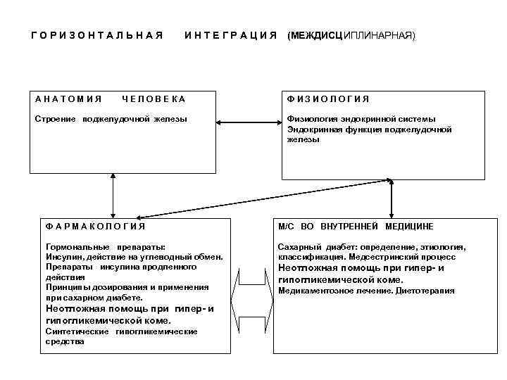 ГОРИЗОНТАЛЬНАЯ ИНТЕГРАЦИЯ (МЕЖДИСЦ ИПЛИНАРНАЯ) АНАТОМИЯ ЧЕЛОВЕКА ФИЗИОЛОГИЯ Строение поджелудочной железы Физиология эндокринной системы Эндокринная