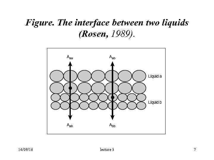  Figure. The interface between two liquids (Rosen, 1989). 14/09/16 lecture 3 7 