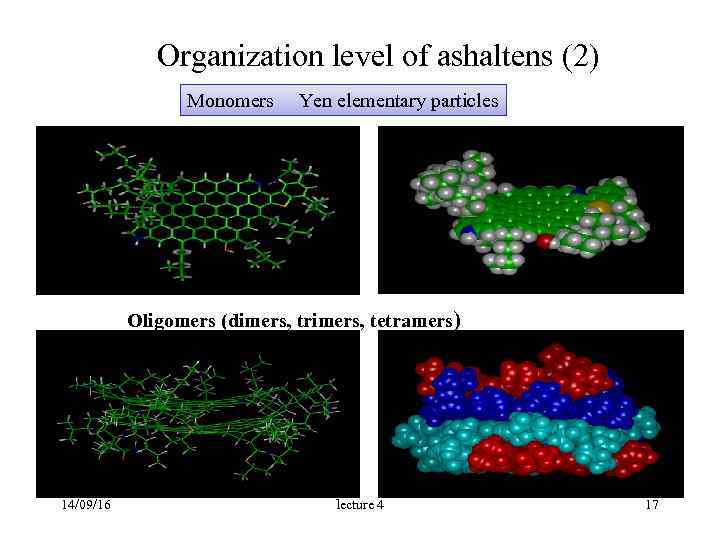  Organization level of ashaltens (2) Monomers Yen elementary particles Oligomers (dimers, trimers, tetramers)