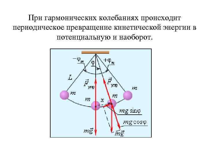  При гармонических колебаниях происходит периодическое превращение кинетической энергии в потенциальную и наоборот. 