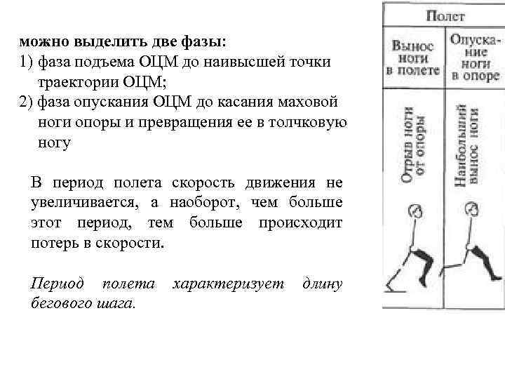 можно выделить две фазы: 1) фаза подъема ОЦМ до наивысшей точки траектории ОЦМ; 2)