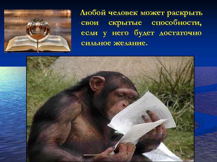 НАЧИНАЙТЕ РЕЧЬ С СИЛЬНЫМ И НАСТОЙЧИВЫМ СТРЕМЛЕНИЕМ ДОСТИЧЬ СВОЕЙ ЦЕЛИ. 