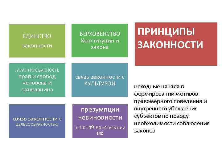 2 1 понятие и принципы. Принцип законности. Основные принципы законности. Законность принципы законности. Принципы законности и принципы правопорядка.