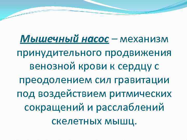  Мышечный насос – механизм принудительного продвижения венозной крови к сердцу с преодолением сил