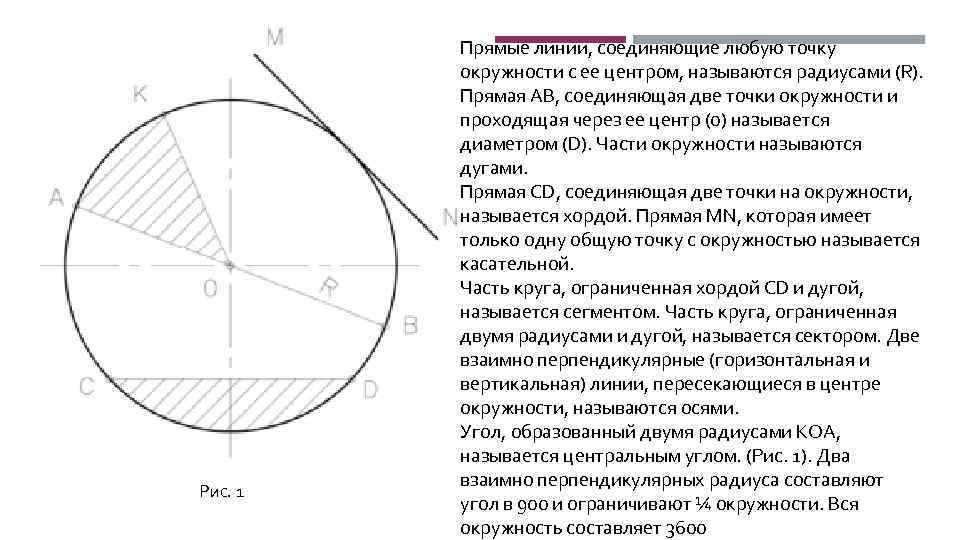 Прямая делящая окружность