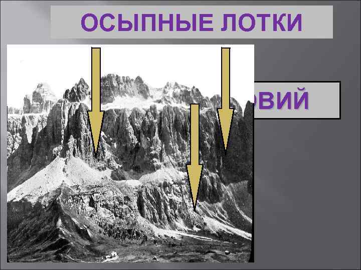 ОСЫПНЫЕ ЛОТКИ КОЛЛЮВИЙ 