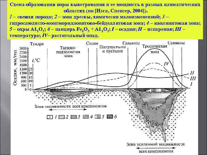 Схема образования коры выветривания и ее мощность в разных климатических областях (по [Нэгл, Спенсер,