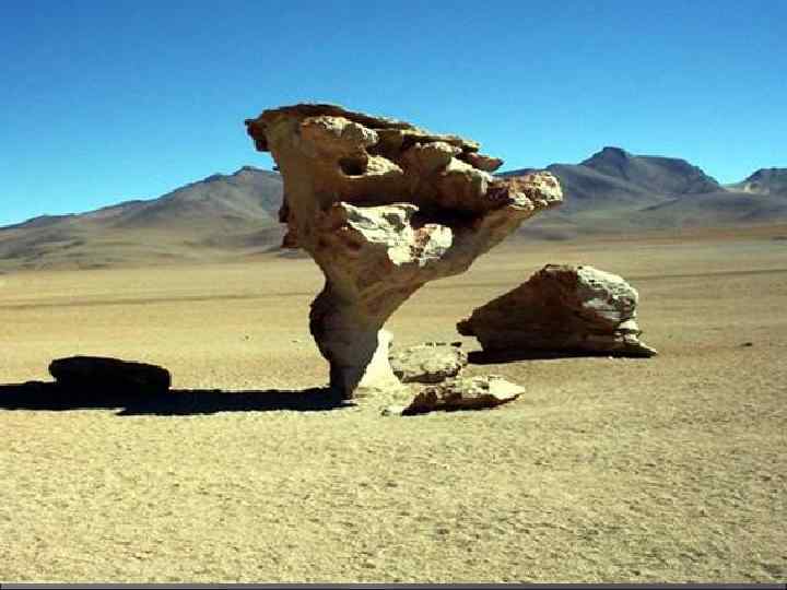 КАМЕННАЯ  ПУСТЫНЯ 