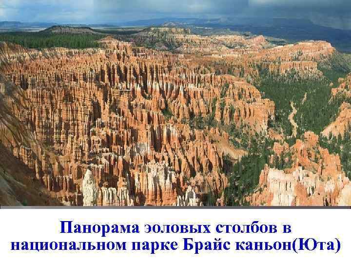 ПОЛУПУСТЫНЯ 