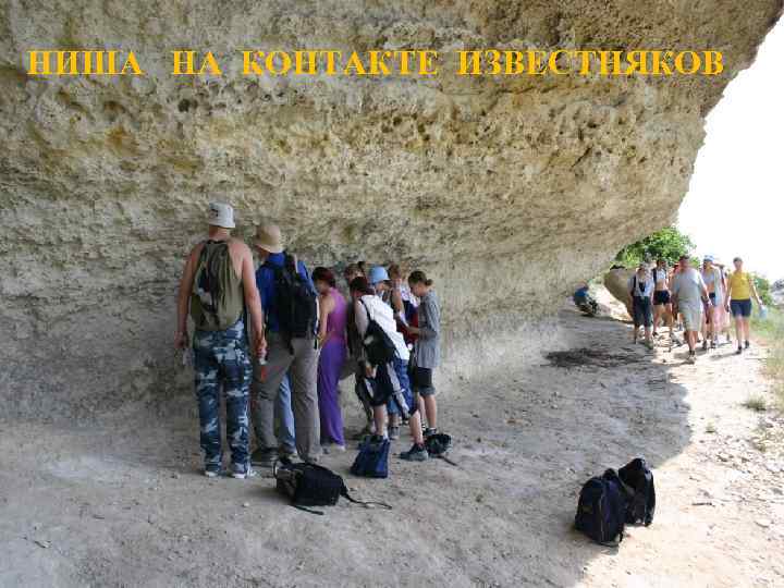 НИША  НА КОНТАКТЕ ИЗВЕСТНЯКОВ 