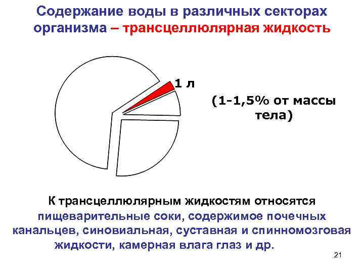  Содержание воды в различных секторах организма – трансцеллюлярная жидкость 1 л (1 -1,