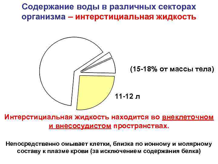  Содержание воды в различных секторах организма – интерстициальная жидкость (15 -18% от массы