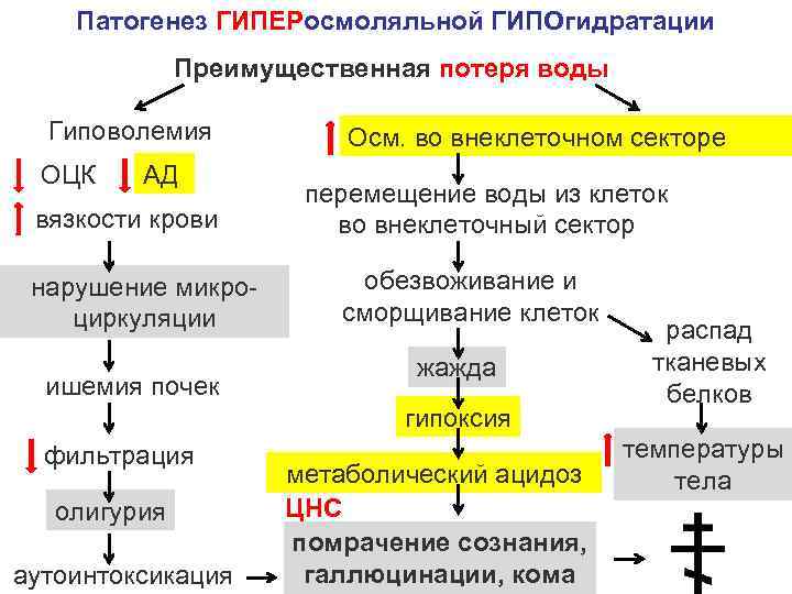 Схема патогенеза холеры