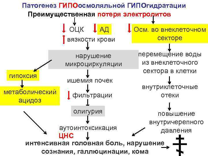  Патогенез ГИПОосмоляльной ГИПОгидратации Преимущественная потеря электролитов ОЦК АД Осм. во внеклеточном вязкости крови