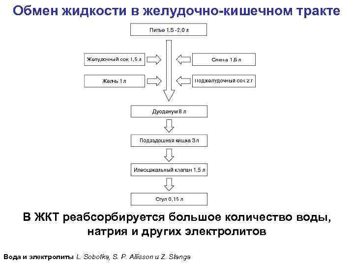  Обмен жидкости в желудочно-кишечном тракте В ЖКТ реабсорбируется большое количество воды, натрия и