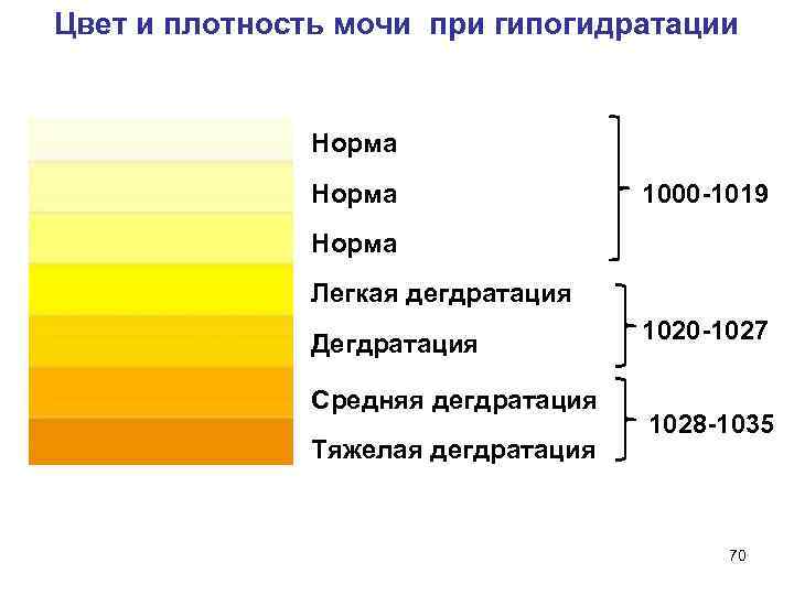 Цвет и плотность мочи при гипогидратации Норма 1000 -1019 Норма Легкая дегдратация Дегдратация 1020