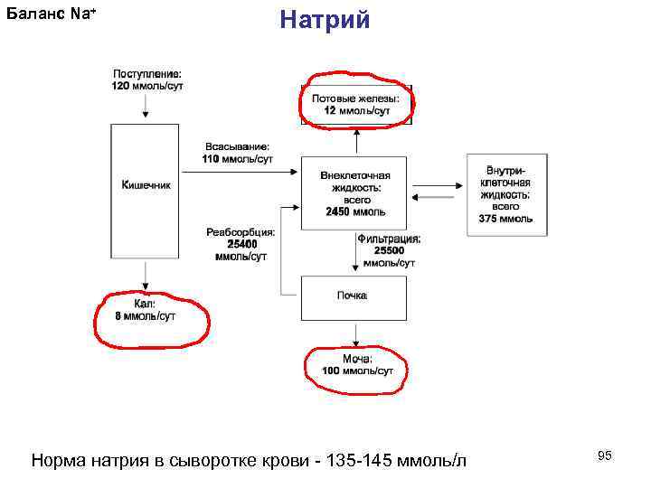 Баланс Na+ Натрий • Норма натрия в сыворотке крови - 135 -145 ммоль/л 95