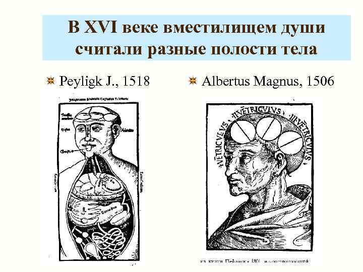  В XVI веке вместилищем души  считали разные полости тела Peyligk J. ,