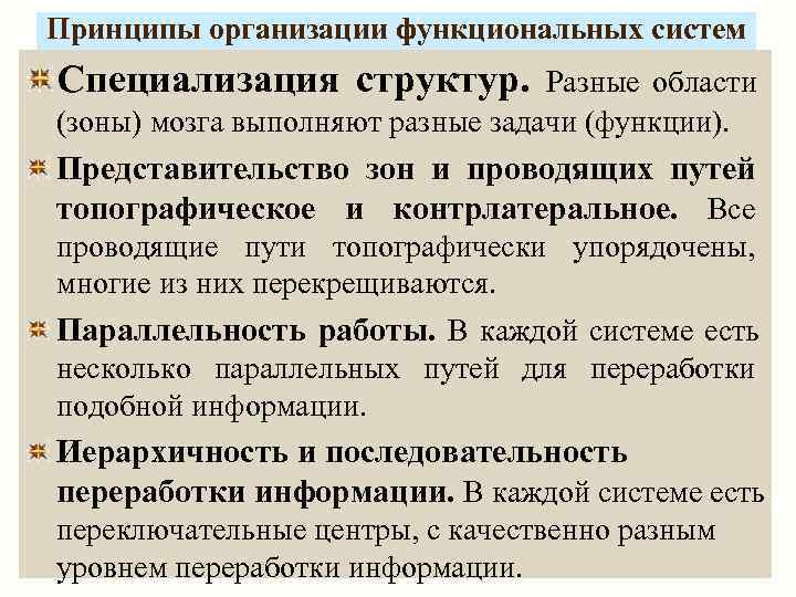 Принципы организации функциональных систем Специализация структур.  Разные области (зоны) мозга выполняют разные задачи