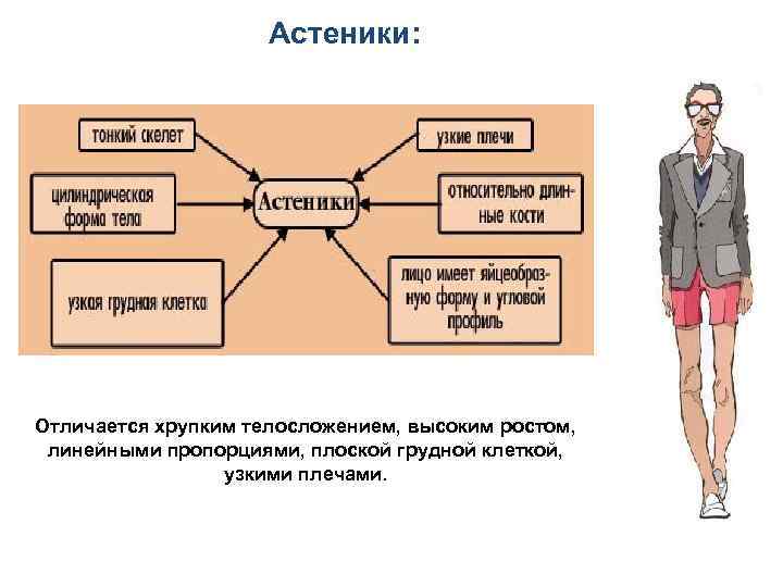  Астеники: Отличается хрупким телосложением, высоким ростом, линейными пропорциями, плоской грудной клеткой, узкими плечами.