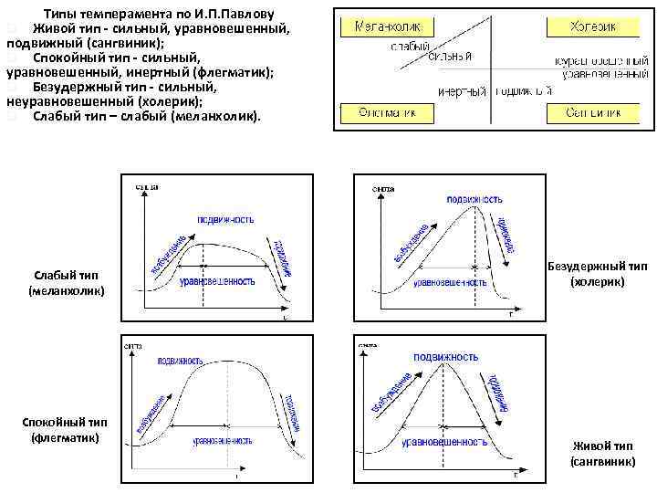  Типы темперамента по И. П. Павлову q Живой тип сильный, уравновешенный, подвижный (сангвиник);