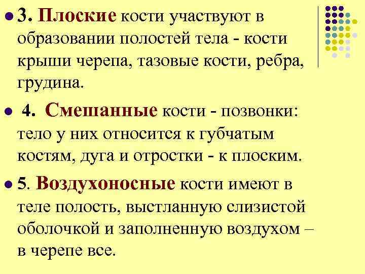 l 3. Плоские кости участвуют в образовании полостей тела - кости крыши черепа, тазовые