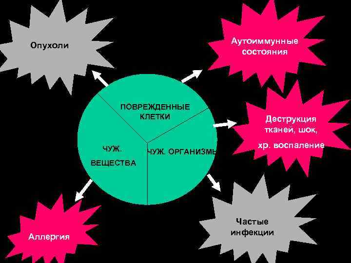 Опухоли Аутоиммунные состояния ПОВРЕЖДЕННЫЕ КЛЕТКИ Деструкция тканей, шок, ЧУЖ. хр. воспаление ЧУЖ. ОРГАНИЗМЫ ВЕЩЕСТВА