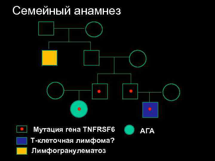 Семейный анамнез Мутация гена TNFRSF 6 АГА Т-клеточная лимфома? Лимфогранулематоз 
