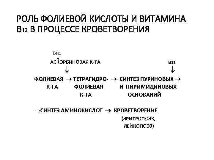 РОЛЬ ФОЛИЕВОЙ КИСЛОТЫ И ВИТАМИНА В 12 В ПРОЦЕССЕ КРОВЕТВОРЕНИЯ в 12, АСКОРБИНОВАЯ К-ТА